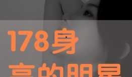 在线观看178,揭秘热门视频背后的故事